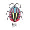 Cute cartoon beetle vector  illustration isoated on white background. Cartoon insect