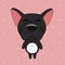 Cute cartoon black french bulldog on pink background.