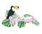 Cute cartoon black toucan on white background, wild tropical bird with exotic leaves and flowers, hand lettering, editable vector