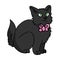 Cute cartoon Bombay kitten with pink bow vector clipart. Pedigree kitty breed for cat lovers. Purebred black domestic