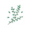 Cute cartoon bright Christmas fir twig