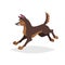 Cute cartoon brown dog running. Pet animal jumping. Flat with simple gradient illustration. Farm sheepdog. Vector drawing