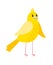 Cute cartoon canary bird icon