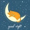 Cute cartoon cat sleeping on the moon. Good night lettering.
