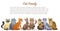 Cute cartoon cats family staing together front view. Cat pet friend.