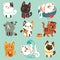 Cute cartoon cats, funny playful kittens vector set