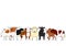 Cute cartoon cattle breed group