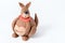 Cute cartoon character Kangaroo made from icing