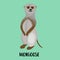 Cute cartoon character Meerkat, Mongoose. Children`s illustration