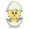 Cute cartoon chick hatching from egg