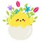 Cute cartoon chicken in Easter egg with fowers. Isolated clip art for Easter greetings design, stickers
