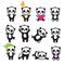 Cute cartoon chinese panda bear vector character set