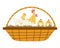 Cute cartoon clocking hen with three chickens ih a wicker basket.