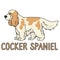 Cute cartoon cocker spaniel dog breed with text word print vector clipart. Pedigree kennel doggie breed for dog lovers