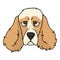 Cute cartoon cocker spaniel dog face vector clipart. Pedigree kennel doggie breed for dog lovers. Purebred domestic