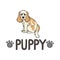 Cute cartoon cocker spaniel puppy with text word and paw print vector clipart. Pedigree kennel doggie breed for dog