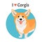Cute cartoon corgi icon. Vector illustration of pet dog