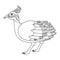 Cute, cartoon crested tinamou bird. Line art
