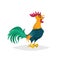 Cute cartoon crowing rooster. Farm animal. Good for education and kids design. Vector bird illustration