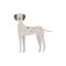 Cute cartoon Dalmatian dog standing with excited face