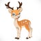 Cute cartoon dappled deer isolated on a white