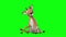 Cute Cartoon Deer on a Green Background, Beautiful 3d Animation. All animations have the same poses at the start and the