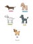 Cute cartoon dogs of various breeds .
