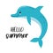 Cute cartoon dolphin. Vector illustration suitable for logos, invitations, brochures, flyers, coupons. Hello summer