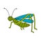 Cute cartoon doodle happy Grasshopper isolated