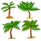Cute cartoon doodle linear palm collection