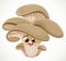 Cute cartoon emoji big oyster mushroom