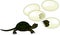 Cute cartoon European pond turtle hatching out of egg