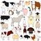 Cute cartoon farm animals doodle set