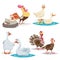 Cute cartoon farm birds set. Couple birds collection. Rooster and hen, ducks, geese and turkeys. Farm animals. Vecor illustrations