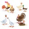 Cute cartoon farm birds set. Couple birds collection. Rooster and hen, ducks, geese and turkeys. Farm animals. Vecor illustrations