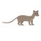 cute cartoon flat fossa, madagascar animal, vector isolated on white, illustration for kids