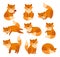 Cute cartoon fox. Forest foxes, red animals with fluffy tails. Flat foxy character running or standing, isolated