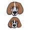 Cute cartoon foxhound puppy and adult hunting dog face vector clipart. Pedigree kennel baby doggie breed for dog lovers. Purebred