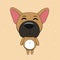 cute cartoon french bulldog fawn on orange background.