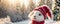 Cute cartoon friendly rabbit in a card adorable mammal winter comic template beautiful