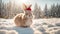 Cute cartoon friendly rabbit in a character pattern mammal winter comic template beautiful