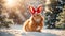 Cute cartoon friendly rabbit in a holiday adorable mammal winter comic template beautiful