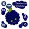 Cute cartoon fruit character. Vitamins in the berries. Black raspberries. Children`s illustration