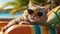 Cute cartoon funny cat poster sunglasses, beach, sunset tropic comic