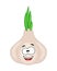 Cute cartoon garlic character vector illustration isolated on w