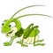 Cute cartoon grasshopper