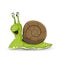 Cute cartoon green snail