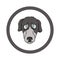 Cute cartoon Greyhound face in circle dog vector clipart. Pedigree kennel doggie breed for kennel club. Purebred