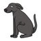 Cute cartoon Greyhound sitting puppy vector clipart. Pedigree kennel doggie breed for kennel club. Purebred domestic dog