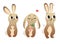 Cute cartoon hare vector set. Hares in different postures. Forest animals for kids. Isolated on white background